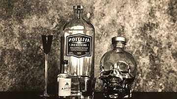 Aviation Gin ~ Large format 8x10 paper reversal print
