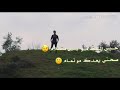 ابو احمد الهيبه   حالتي