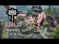 [MHR Demo] Mizutsune Hammer solo 8'39 | タマミツネハンマーソロ