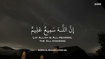 تلاوة الجزء الاخير من سورة مريم بصوت عبدالرحمن مسعد 🎧🕰️ تلاوة هادئة مريحه