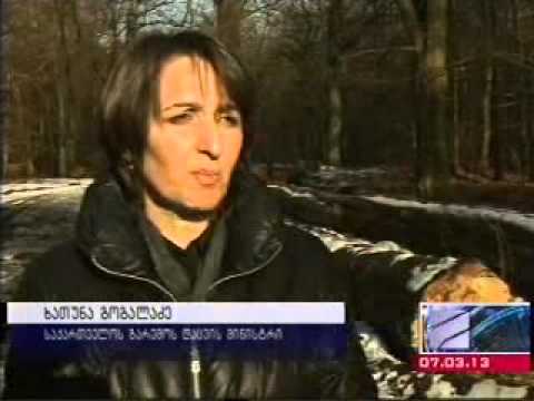 ვიზიტი ჰესენის სატყეო ცენტრში