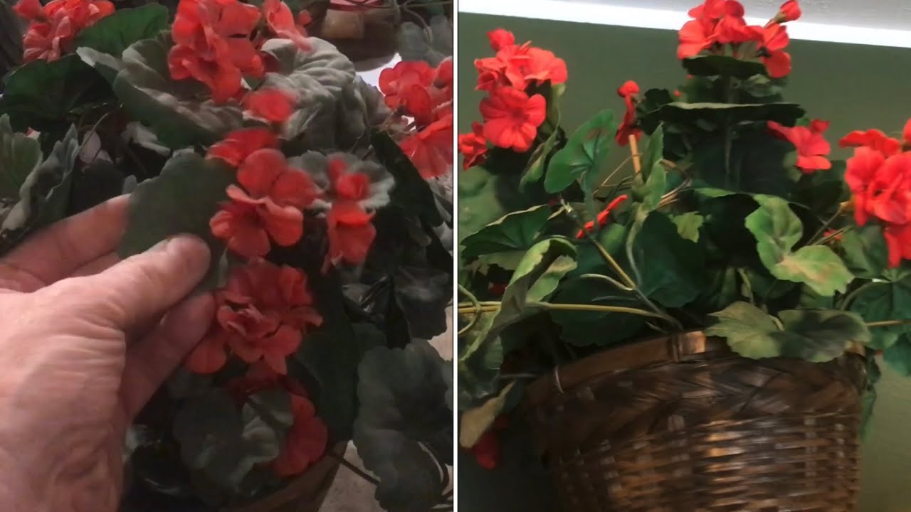 How To CLEAN silk Plants And Flowers YouTube How To CLEAN silk Plants And Flowers YouTube