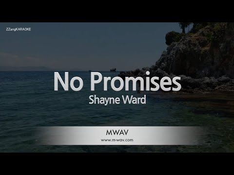 Shayne Ward No Promises Melody Zzang Karaoke Youtube