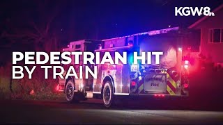 Person struck by freight train in Northeast Portland