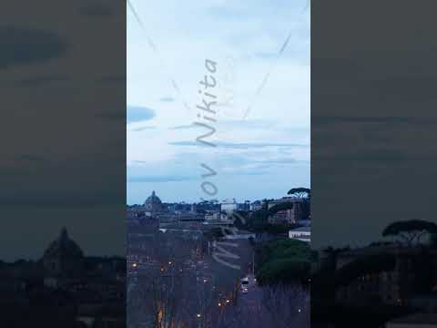 Vertical video. Day