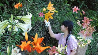 【二米炊烟】Lily, flower food on cliffs. 聞着花香味，在懸崖邊找了美味的食材