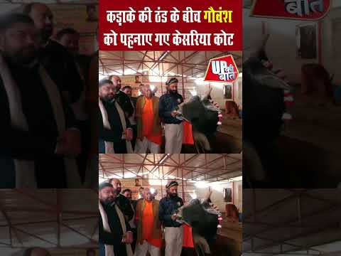 Kanpur cold wave : भीषण ठंड में गौवंश की सुरक्षा के लिए गौशाला में केसरिया कोट की पहल #shorts