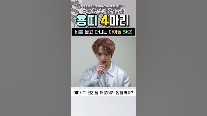 비를 몰고 다니는 용띠 4마리 #스트레이키즈
