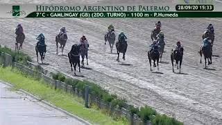 Hipódromo de Palermo 7a Carrera 28/09/20 (Resubido)