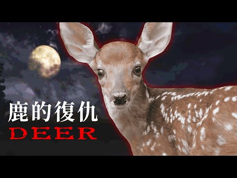 鹿的復仇 - 吃野味的代價也太大了【阿津】Deer "鹿"恐怖遊戲