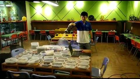 SmartCoat nano tio2(3)