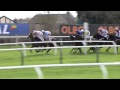 Noel Fehily - The Friday Club - Racing TV