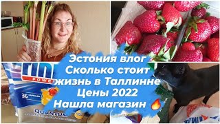 Эстония.Сколько стоит жить в Таллинне.Цены на продукты 2022.Какой магазин я нашла!Домашний влог