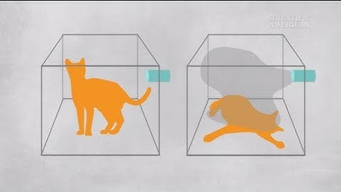 What Is the Wave Function? - Instant Egghead #50
