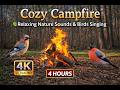 Cozy Campfire AmbienceReal sounds of a burning campfire and forest birds!