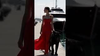 Step Into a Billionaire's World – Zonezi.net