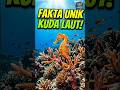 FAKTA UNIK HEWAN PALING BUCIN SEDUNIA SI KUDA LAUT #faktadunia #faktaunik #faktamenarik