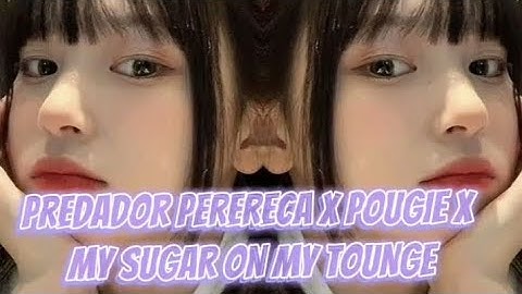 PREDADOR PERERECA X POUGIE X MY SUGAR ON MY TOUNGE MASHUP TIKTOK VIRAL  REMIX AFFAIR DJ PAUL BIGATA