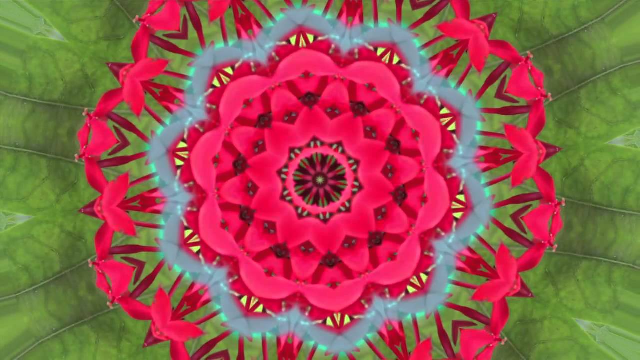 Music box & Kaleidoscope for Babies 2 Mozart intellingence