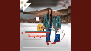 IZINTO ZIMANE UKWENZEKA