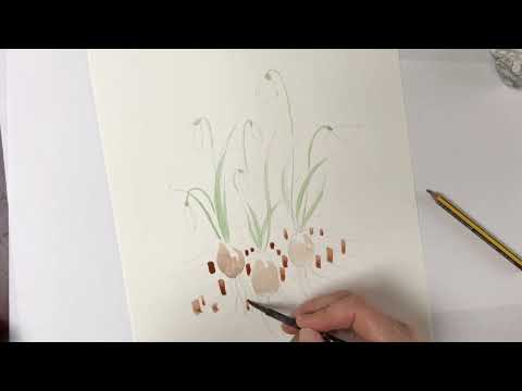 Snowdrops with a background