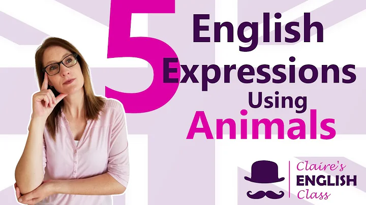 English lesson - 5 English Expressions Using Animals