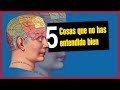 5 cosas que no has entendido bien