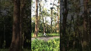 🚴‍♂️beautiful 💗 forest 🌳.....#vairal #video #tranding #cycle #raid #post #youtube #shorts #videos