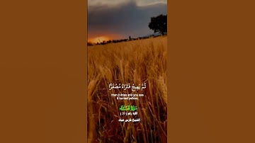 اعلموا أنما الحياة الدنيا لعب ولهو وزينة_ تلاوة عذبة_ سورة الحديد_ الشيخ فارس عباد_#quran #اكسبلور