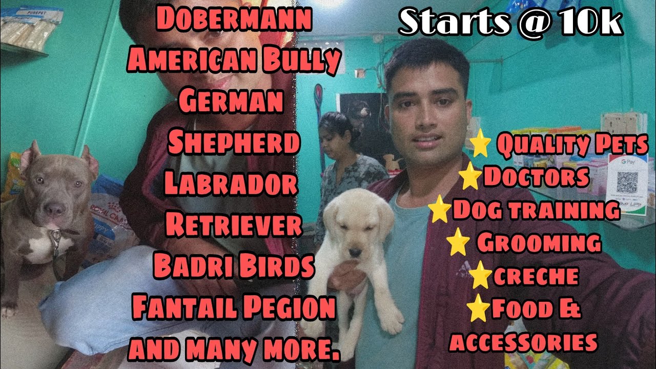 Pet Shop in Guwahati Assam/ Cheapest Dog & Bird Market in Guwahati