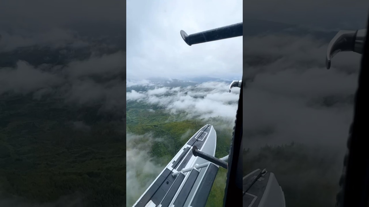 Floatplane Views over Tongass National Forest on the way to Waterfall Resort✈️ 