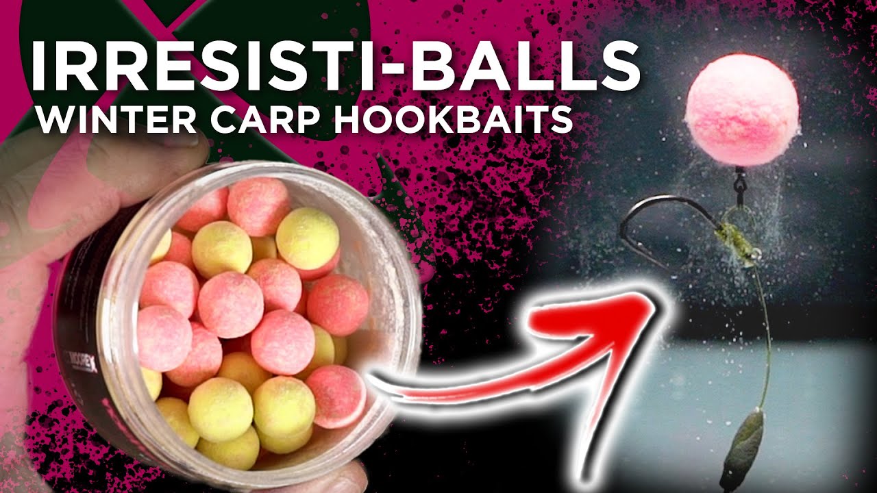 Maximum Winter Hookbait Attraction - Winter Carp Fishing Tips 🥶❄️🎣
