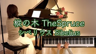🎄樅(ﾓﾐ) の木 The Spruce /シベリウス 】｢樹の組曲」より Sibelius Op