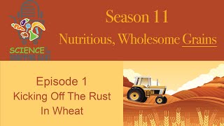 SIYSC | Season 11: Wholesome, Nutritious Grains || Episode 1: Kicking Off The Rust In Wheat