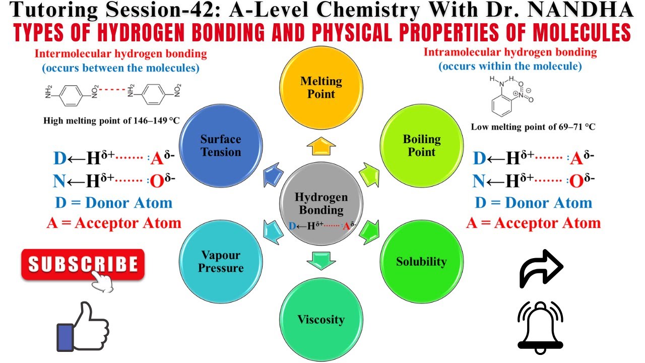 TYPES OF HYDROGEN BONDING | THE IMPACT OF HYDROGEN BONDING ON THE ...