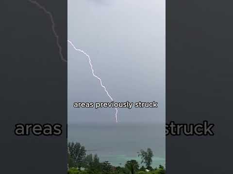 Lightning Strikes Twice Shorts