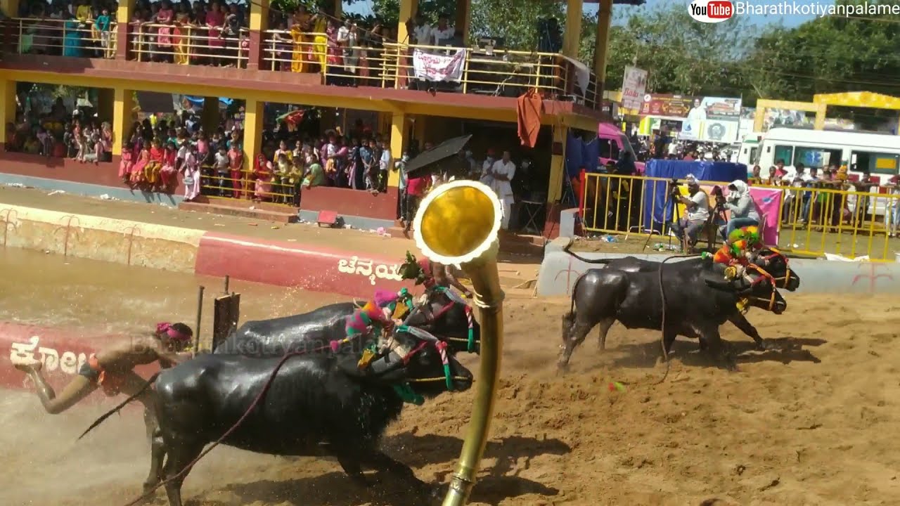Moodabidre Kambala 2021-22 December 12