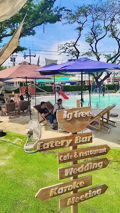 the big tree มีหลายโซน