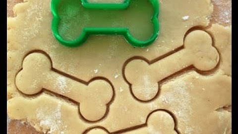 Fusion 360 Cookie Cutter Tutorial
