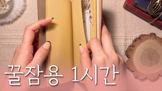 ✨수면용 영상 다꾸 ASMR 1시간✨| for sleep | relaxing sounds | 구독자 요청 | 저화질