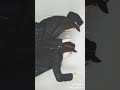 احلى توام احلى توام