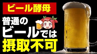 【ゆっくり解説】栄養の宝庫と言われるビール酵母とは！？