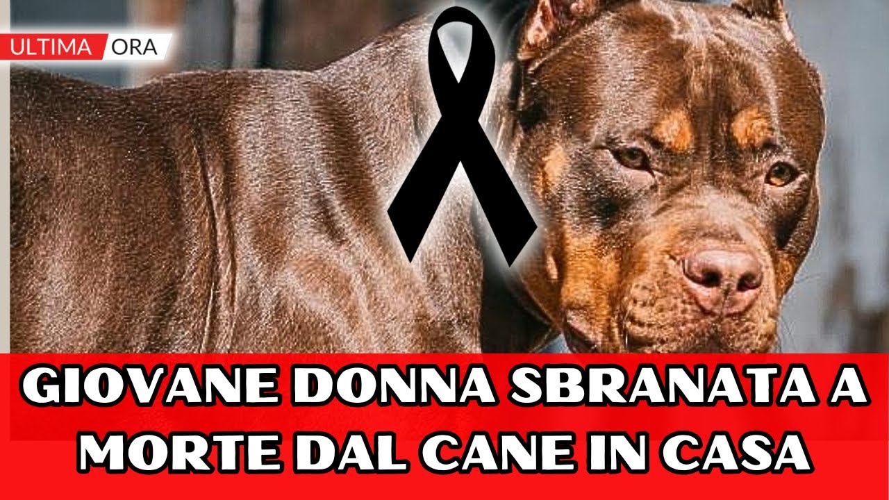 donna sbranata dal suo cane