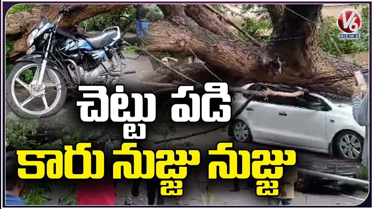 Big Tree Collapsed On Car At Banjara Hills | Hyderabad | V6 News - YouTube