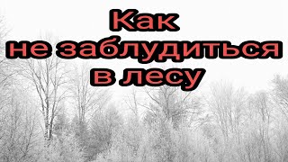 Как не заблудиться в лесу. Народные приметы. Леший.