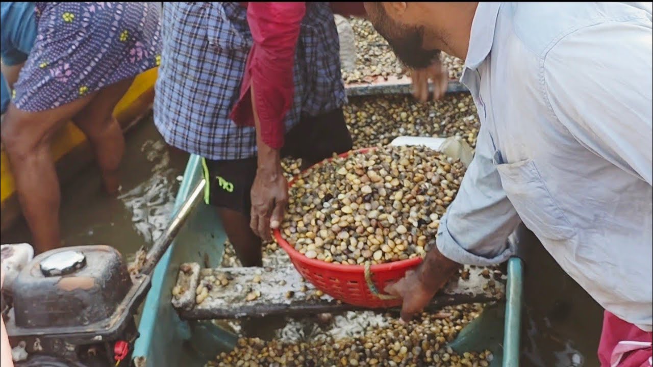 30 കിലോ എരുന്ത്  450 രൂപ ഇന്നത്തെ വില ചാലിയം