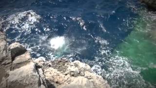 Malta 2013 - Old men gone cliff diving