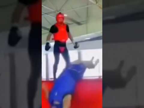 Wushu sanda ko