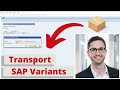 SAP Variants | Transport SAP Variants of ABAP Programs