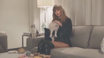 Taylor Swift being in love with cats for 5 minutes straight